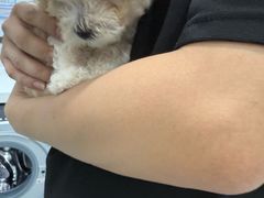 -嘉馨宠物医院·CT影像转诊·心脏科·犬猫全科诊疗中心(下沙大学城院区)