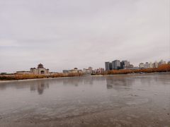 -莲花池公园