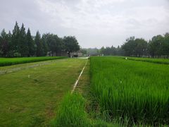 -北坞公园