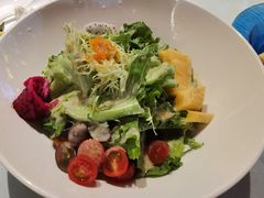 牛油果蔬沙拉-渔家风味·鲅鱼水饺·央视展播·海鲜天津菜(开发区店)