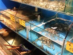 iphone_upload_pic-小城故事·地道宁波味(月湖盛园店)