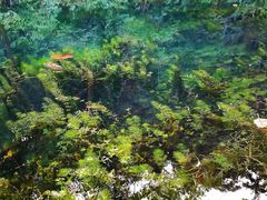-重庆九凤瑶池海明山庄