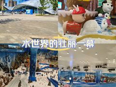 -湘江欢乐城欢乐雪域