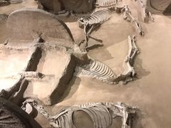 -洛阳周王城天子驾六博物馆