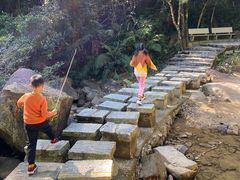 -广州白江湖森林公园