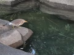 -荔枝公园(福田区)