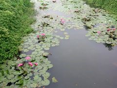 -御霞苑泥烩鸡休闲农庄
