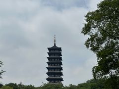 -宜兴龙背山森林公园