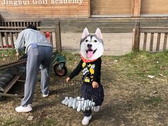 -北京京辉高尔夫俱乐部有限公司