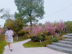-木兰水镇旅游景区