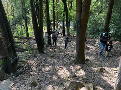 -火炉山森林公园