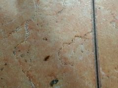 小强-四娭毑(三王街店)