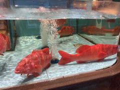 -阿伟海鲜楼·福建菜(延寿店)