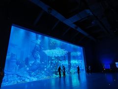 -哈尔滨波塞冬海底世界