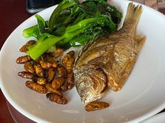 -荣誉国际酒店-云顶旋转餐厅