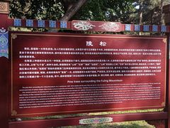 -沈阳市东陵公园