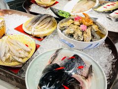 -鸢飞潍坊菜馆(鸢飞大酒店)