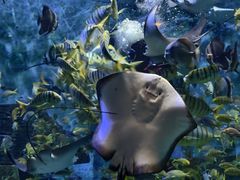 -横店影视城梦幻谷园区