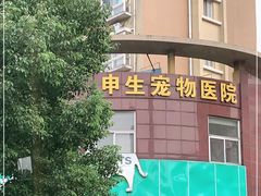 -瑞派申生动物医院·24H夜诊·国际动物医疗中心·骨外科(吴中路店)