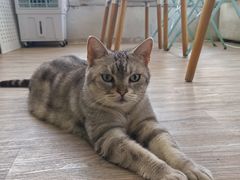 -小时光咖啡馆(北锣鼓巷店)