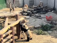 -沈阳森林动物园