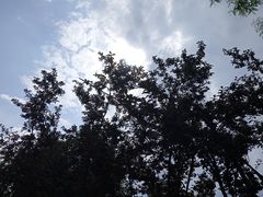 -安宁市宁湖森林公园