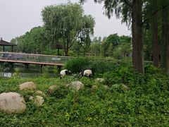 -武汉动物园
