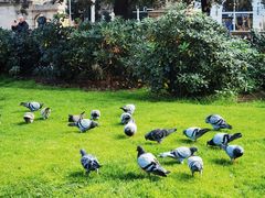 -加泰罗尼亚广场