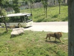 -西安秦岭野生动物园