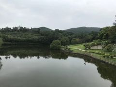 -大屏嶂森林公园