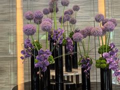 -北京王府井希尔顿酒店·秦唐中餐厅Chynna