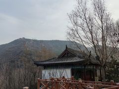 -五龙城郊森林公园