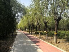 -绿堤公园