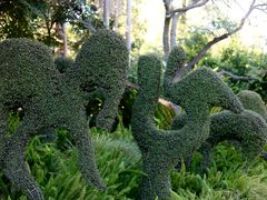 -墨尔本皇家植物园
