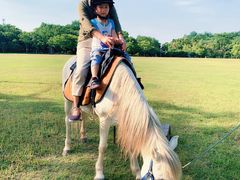 -合肥三国新城遗址公园