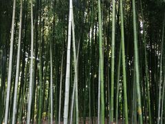 -荆川公园