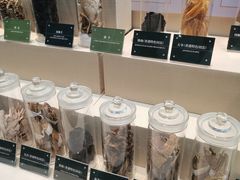 -广东中医药博物馆