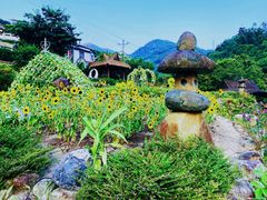 -广东天露山旅游度假区