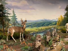 -陕西自然博物馆