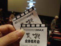 -农垦博纳国际影城(津奥广场IMAX店)