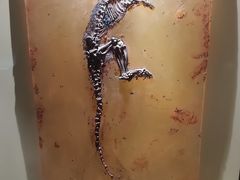 -辽宁古生物博物馆