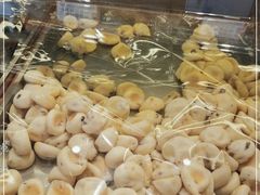 -詹记桃酥(百盛店)