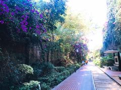 -铁路文化公园