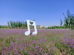 -渔岛海洋度假区