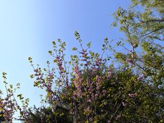 -白塘生态植物园