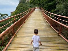 -少华山国家森林公园
