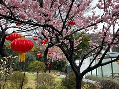 -无锡动物园·太湖欢乐园