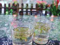 龙井茶-国生茶庄·地道农家菜团建活动