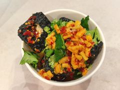 -黑色经典臭豆腐·湖南特产(坡子街店)