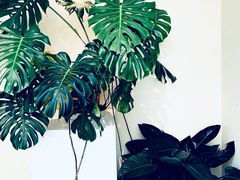 -默迹咖啡馆